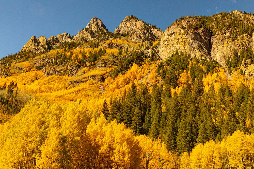 Maroon Bells-Snowmass Wilderness in Aspen-Colorado in autumn